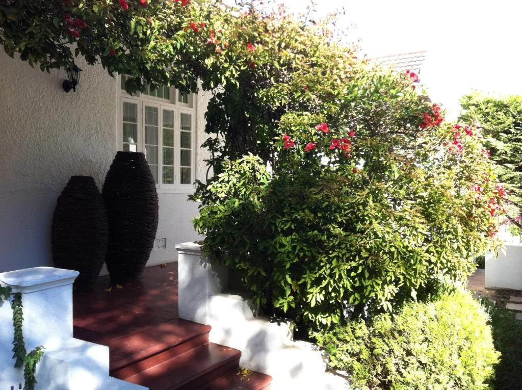 5 Camp Street Guesthouse & Self-Catering Fokváros Szoba fotó